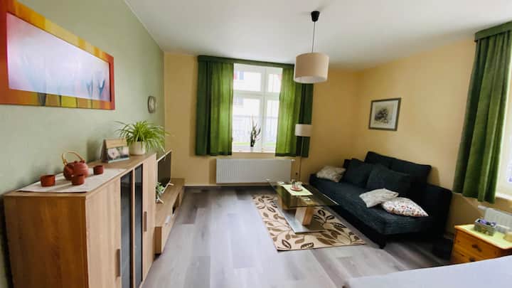 Ferienwohnung Inge In Innenstadtnähe - Zwickau