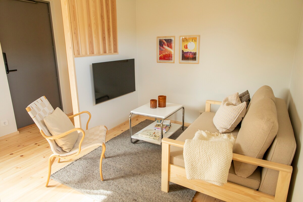 Sala de estar con sofá cama y TV.