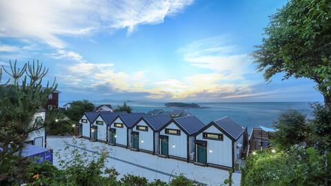 August, an emotional accommodation