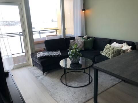 Successful Airbnb property: Lovely apartment with a sunny balcony in Trondheim