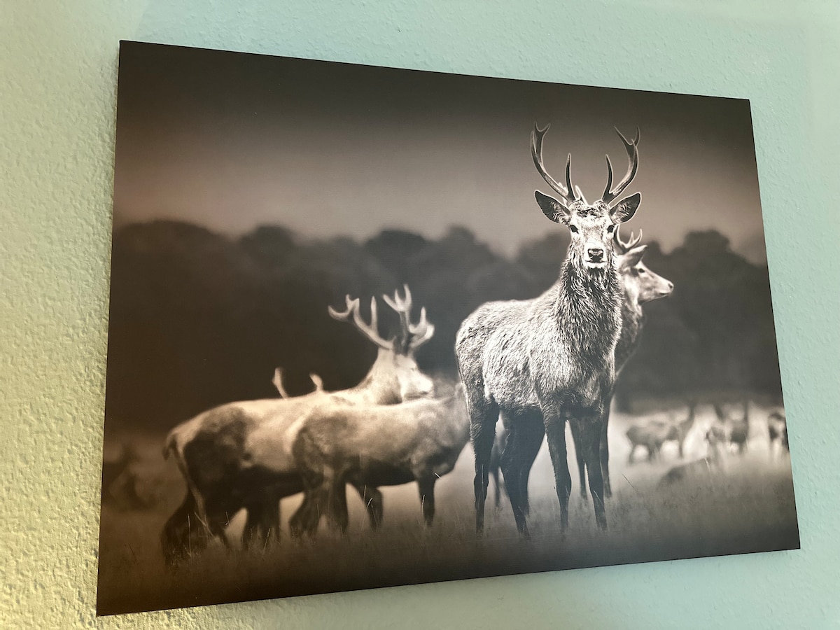 A monochrome artwork is displayed on the wall, depicting a group of deer in a natural setting. A prominent stag with antlers stands in the foreground, surrounded by other deer in the background, contributing to a serene wildlife scene.