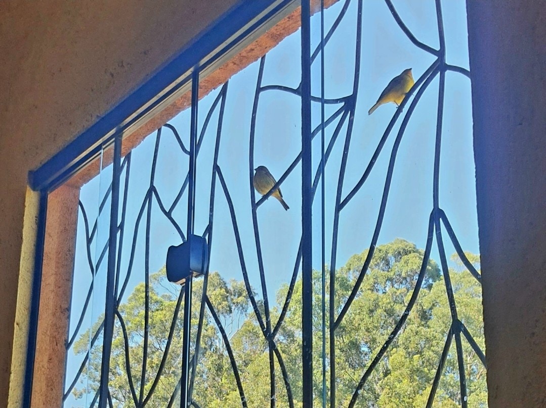 Successful Airbnb property: Muiraquitã Corner in Socorro
