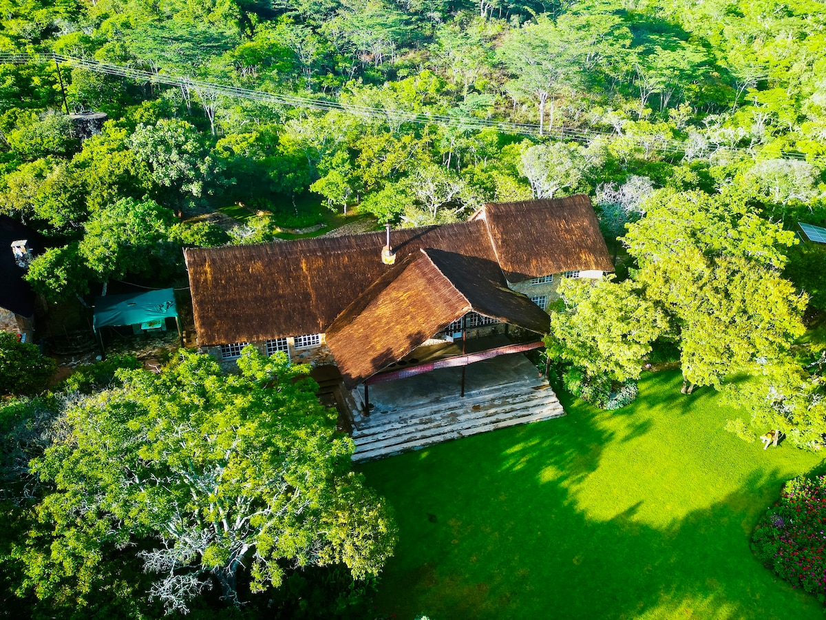 An aerial view captures a spacious house with a thatched roof surrounded by lush greenery. The property is set within a vibrant landscape of trees and gardens, showcasing manicured lawns and a welcoming entrance with steps leading to the front door.