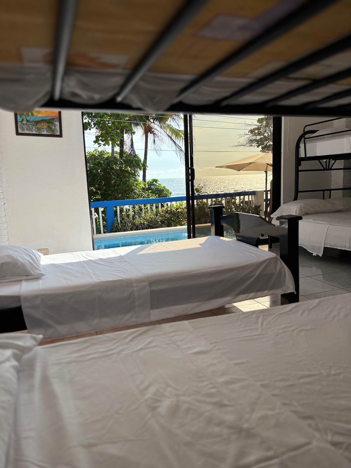 A cozy multi-bunk sleeping area is visible, featuring white linens on spacious beds. Large windows reveal a bright view of the ocean, with lush greenery outside. A pool can be seen through the glass, enhancing the serene environment.