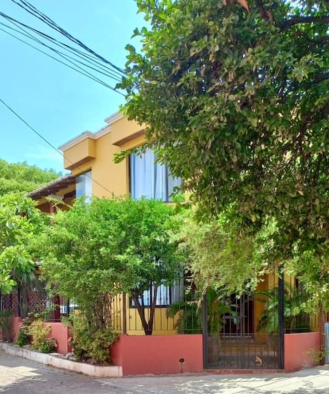 The house on the alley