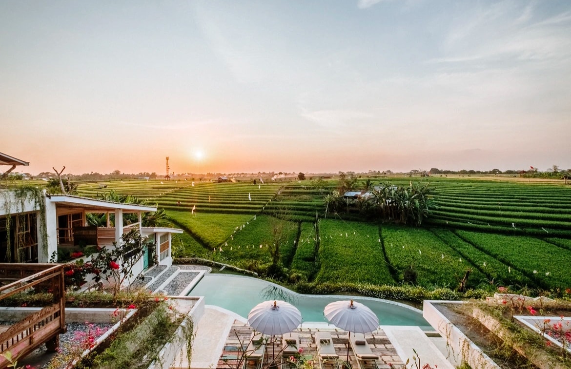 A serene view of rice paddies extends towards the horizon, with a soft sunset glow illuminating the landscape. Two umbrellas provide shade over a seating area next to a tranquil pool, enhancing the outdoor space's natural beauty.