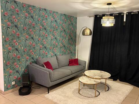 Popular Airbnb listing: Downtown and beach house in Gravelines