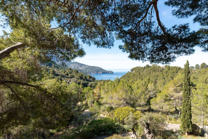 Es Carritx, villa con vistas al mar gallery image 3