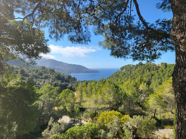 Es Carritx, villa con vistas al mar gallery image 5