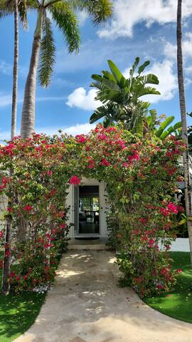 Private Island, Priv Beach, 6 seat GC 100ftDock! gallery image 4