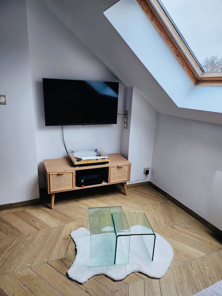 Appartement Duplex Reims Proche Centre - Reims