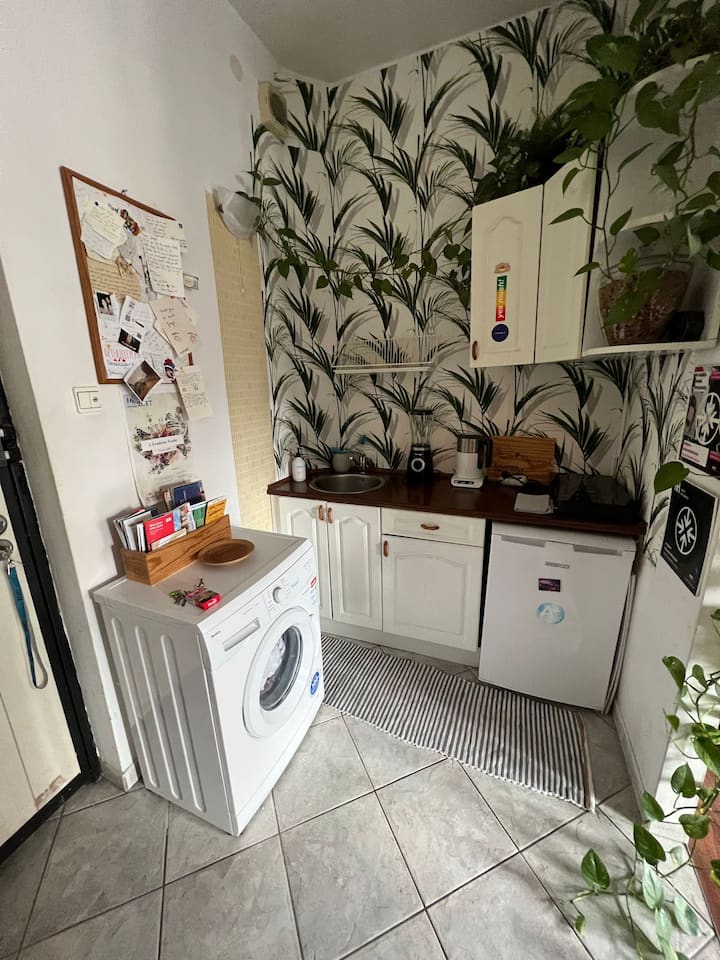 Rynek Market Square Cozy Apartment - 브로츠와프
