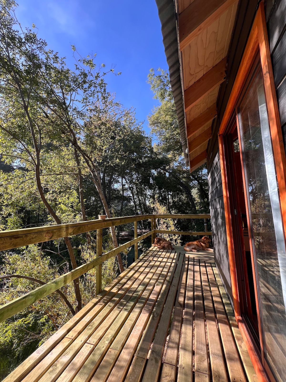 A wooden deck extends from the cabin, surrounded by lush greenery. Sunlight filters through the trees, creating dappled patterns on the floor. The view opens to the natural landscape, enhancing the connection to the surrounding environment.