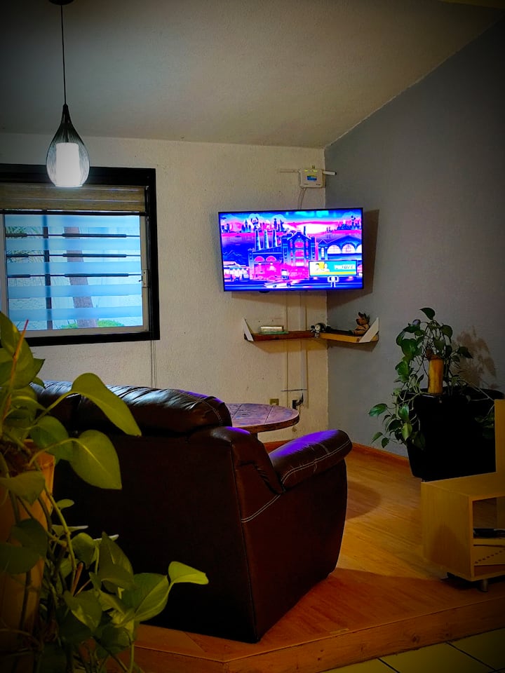 Casa Equipada, Estacionamiento Techado Y Jardín. - Tulancingo