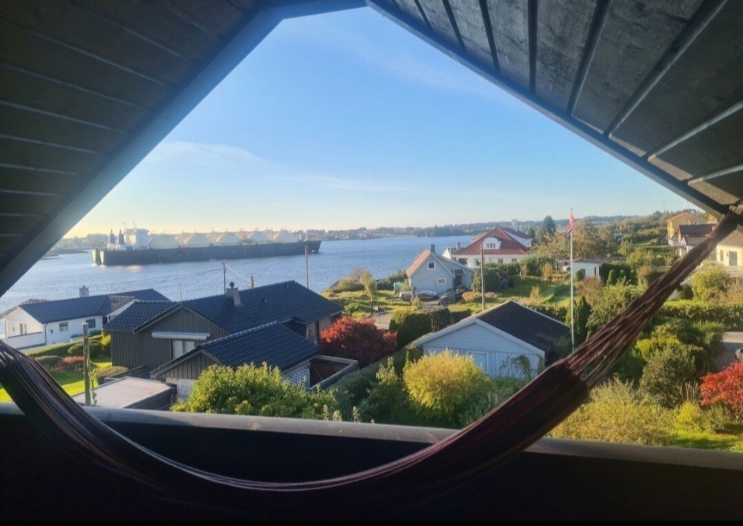 A view from a balcony framed by a hammock shows a serene landscape. Buildings dot the green area, with a calm body of water reflecting the sky. In the distance, shipping containers are visible, enhancing the tranquil ambiance of the surroundings.