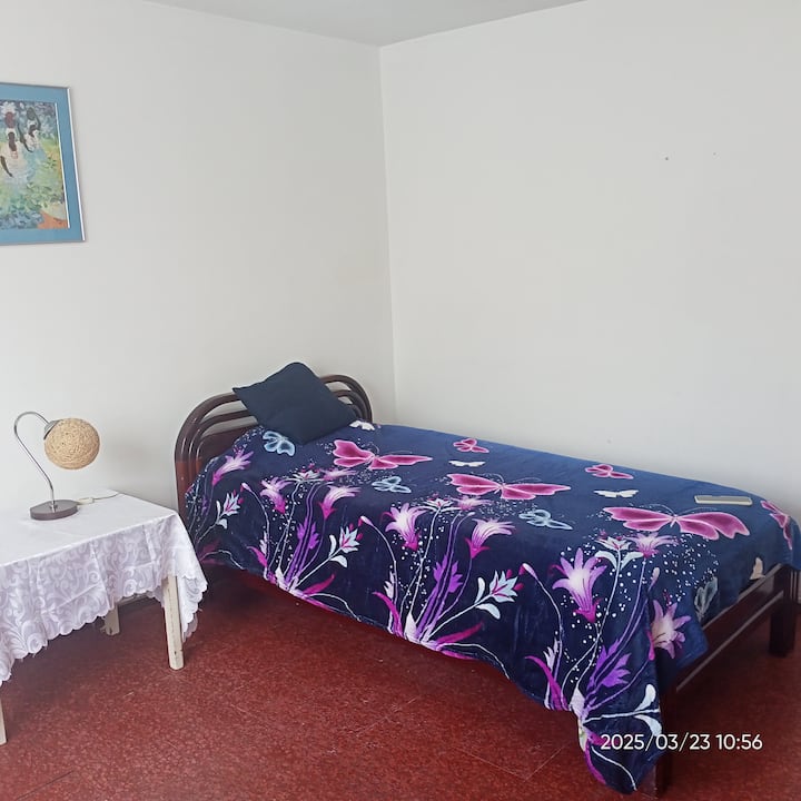 Единечен кревет