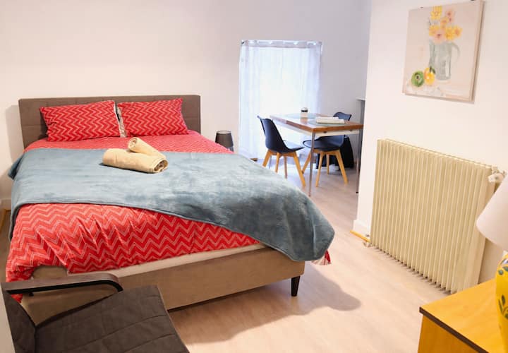 Nid Douillet Rénové Plein Centre, Thermes à Pied. - Dax