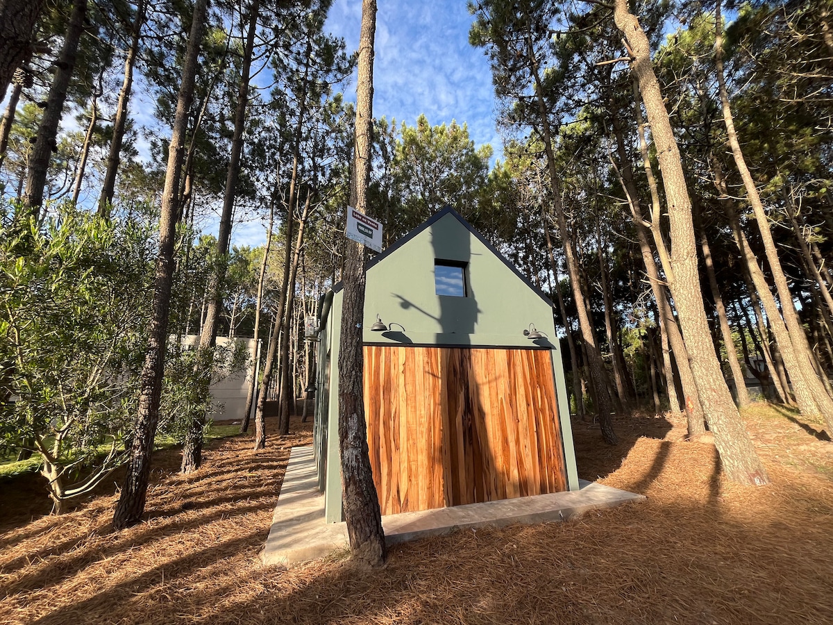 A modern cabin is nestled among tall pine trees, featuring a green exterior and large wooden doors. Natural light filters through the surrounding forest, complementing the rustic wooden accents and creating a serene backdrop.