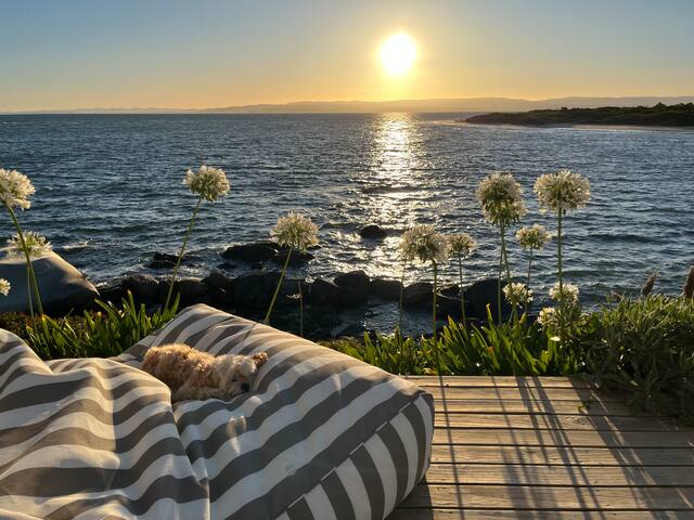 Seaside Sanctuary gallery image 2