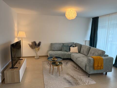 Popular Airbnb listing: Luxurious fully furnished newly built apartment in Ferney Voltaire