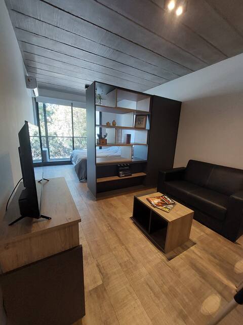 Top performing Airbnb: Monoambiente An excellent location in Santa Fe