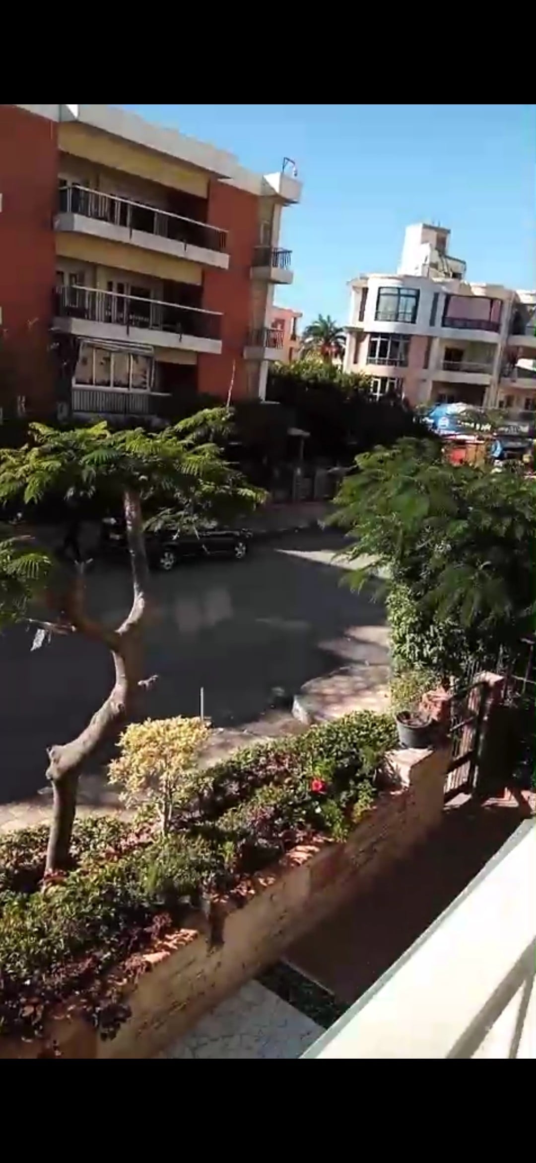 A sunny street view is captured from a balcony, showcasing the vibrant greenery of nearby plants and trees. Buildings line the street, with a mix of residential and commercial properties visible. The scene is lively, indicating a welcoming neighborhood atmosphere.