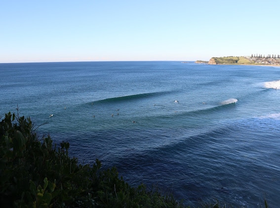 A panoramic view of gentle waves rolling towards a sandy beach, with surfers positioned on the water. The horizon showcases a gradient of blue, blending seamlessly with the clear sky. Lush green vegetation is seen in the foreground, adding to the coastal setting.