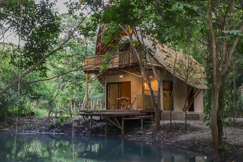 Bamboo cabin by the river in the Huasteca