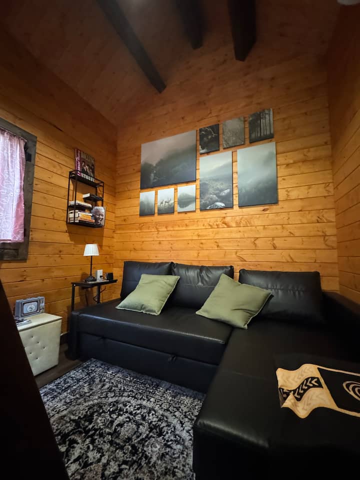 Bedroom area