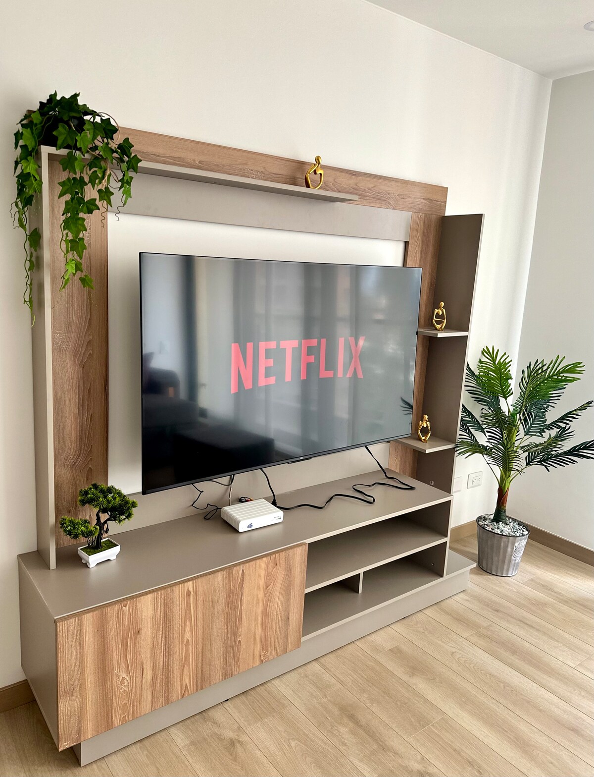 A modern entertainment unit is displayed, featuring a large television mounted on a wooden frame. Green plants are positioned on the shelves, adding a touch of nature. A small decorative plant sits alongside the TV, while a projector is placed beneath it.