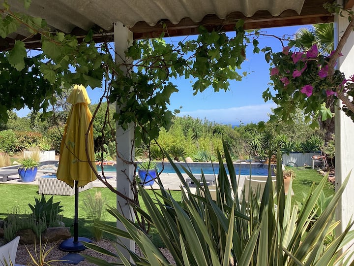 Chambre Et Salon/cuisine Pour 2/3 Pers Mer Piscine - Zonza