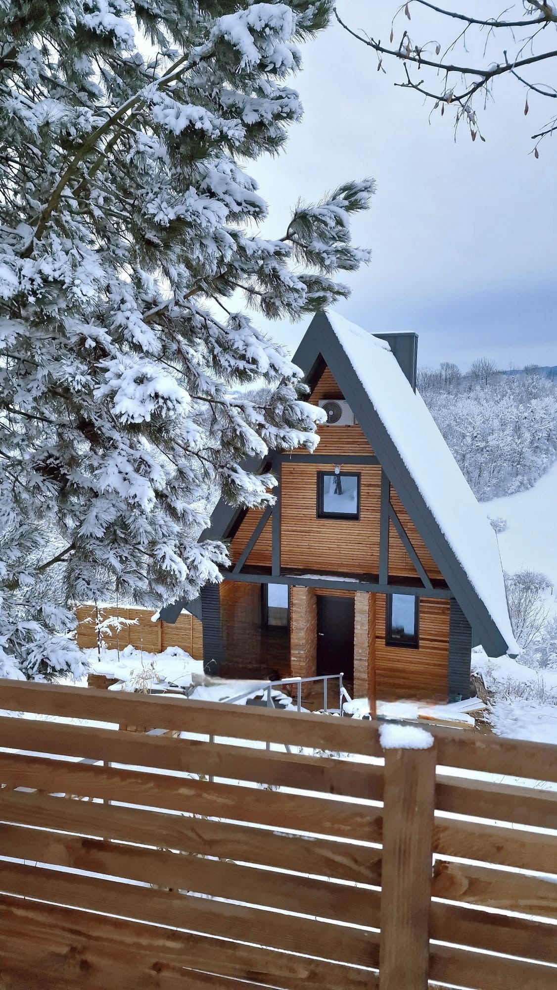 A charming house with a triangular roof is framed by snow-covered trees. The exterior features a combination of wood and dark accents. A covered porch stands at the entrance, while a panoramic view of the snowy landscape is visible in the background.