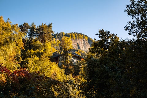 Mountain eco lodge The Fox's Fir