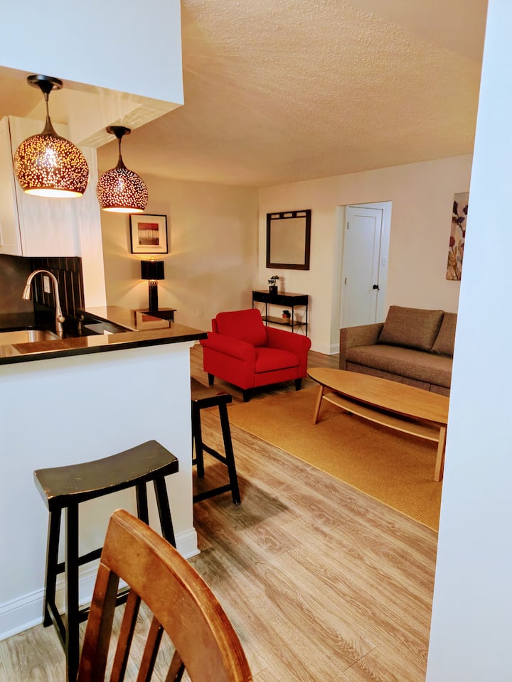 Full Apartment, 7 Minutes From Dulles Airport - 헤른던