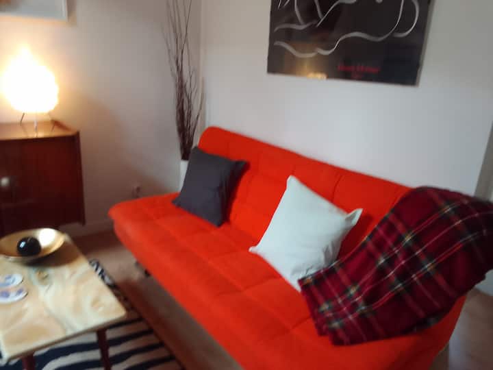 Living room with a comfortable sofa bed. The space is convertible and can be transformed into a bedroom or a work area.
