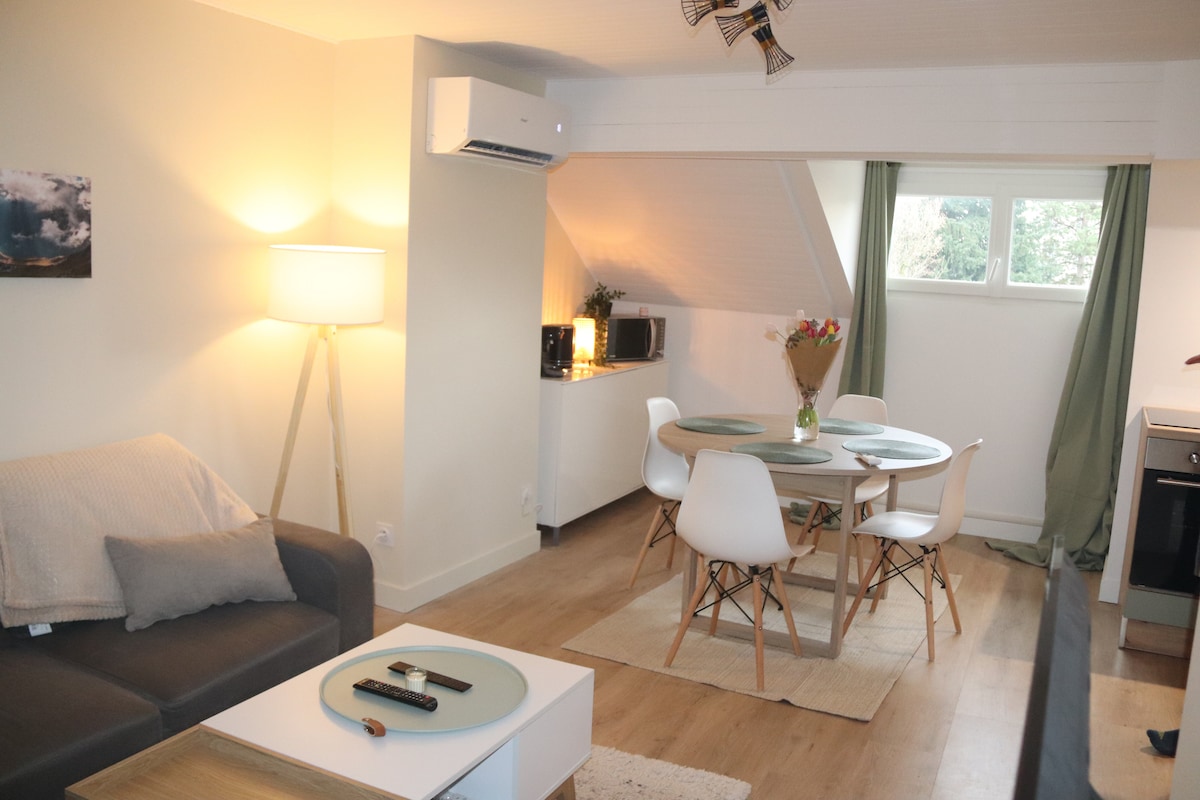 Popular Airbnb listing: Charming 2-room fully-equipped, Place Bichat, air-conditioned in Lons Le Saunier