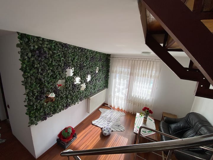 Villa Jianu - R 7 - Vatra Dornei
