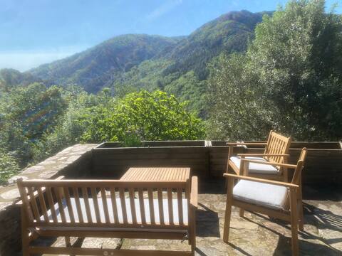 Typical house surrounded by nature