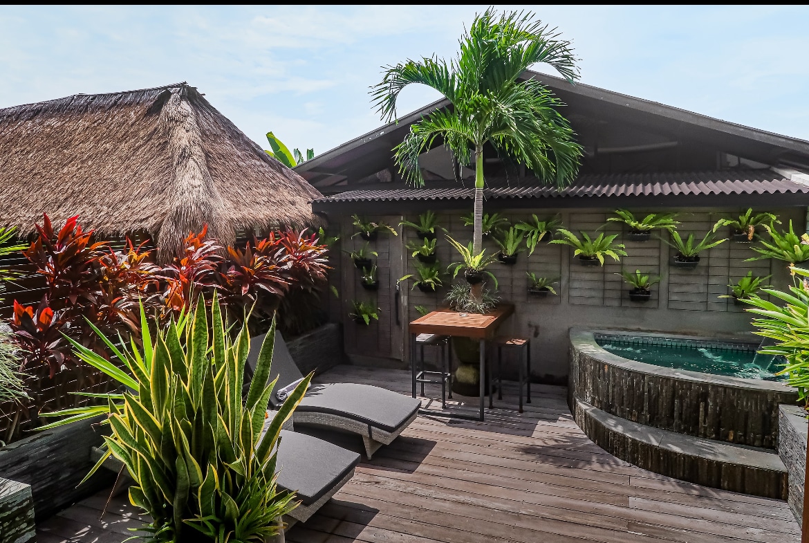 A private outdoor area showcases a small plunge pool surrounded by lush greenery and vibrant plants. Two sun loungers are positioned nearby, and a wooden table and chairs are present for outdoor dining. Thatched roofing adds to the tropical ambiance.