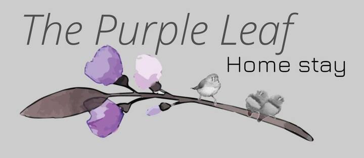 The Purple Leaf (Premium)home Stay
Cozy Stays - Ratnagiri