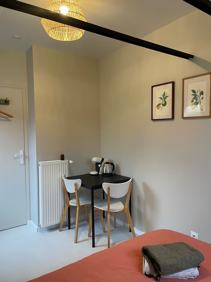 Chambre Avec Entrée Indépendante Et Sdbain Privée - Orléans