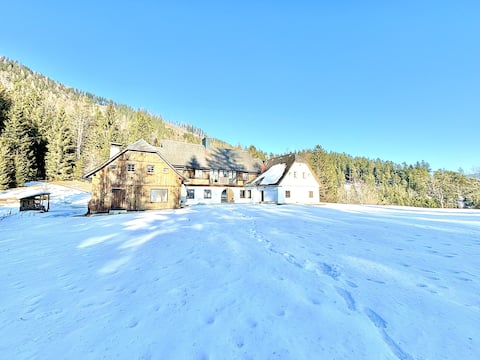 Mid-Century Alpine DesignChalet: Nature, Lake, Ski