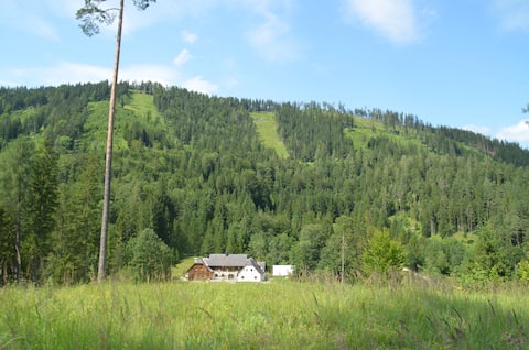 Mid-Century Alpine DesignChalet: Nature, Lake, Ski