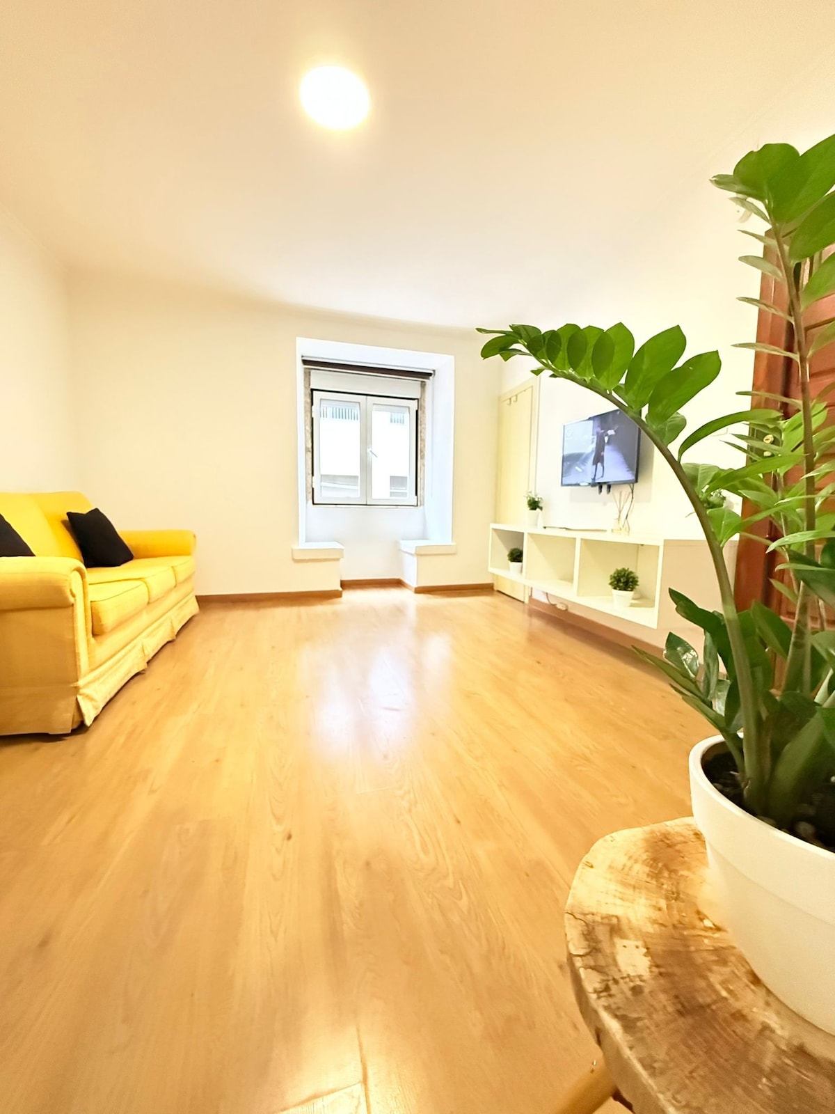 A bright living area features a yellow couch with black cushions, positioned near a window. A television is mounted on a white media unit along the wall. Potted greenery adds a natural touch to the space, enhancing the room's ambiance.