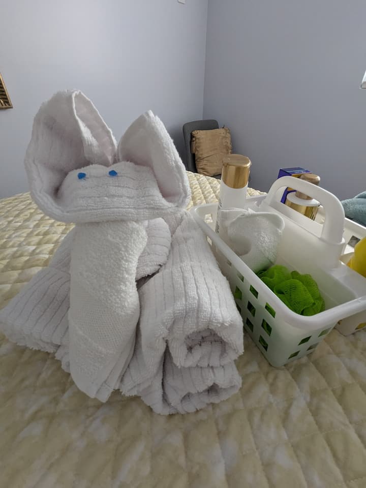 غرفة التوت الأصفر للشباب