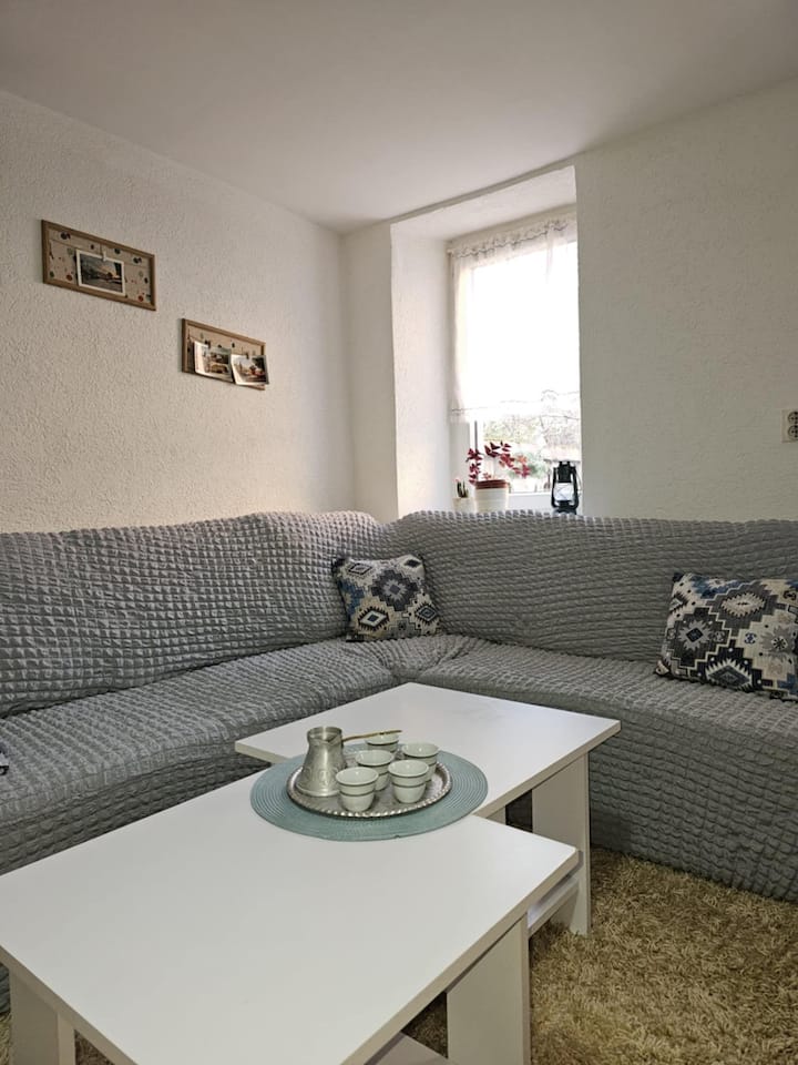 Two-bedroom House With Garden - Sarajevo