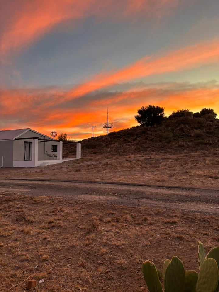 Mooifontein Ostrich