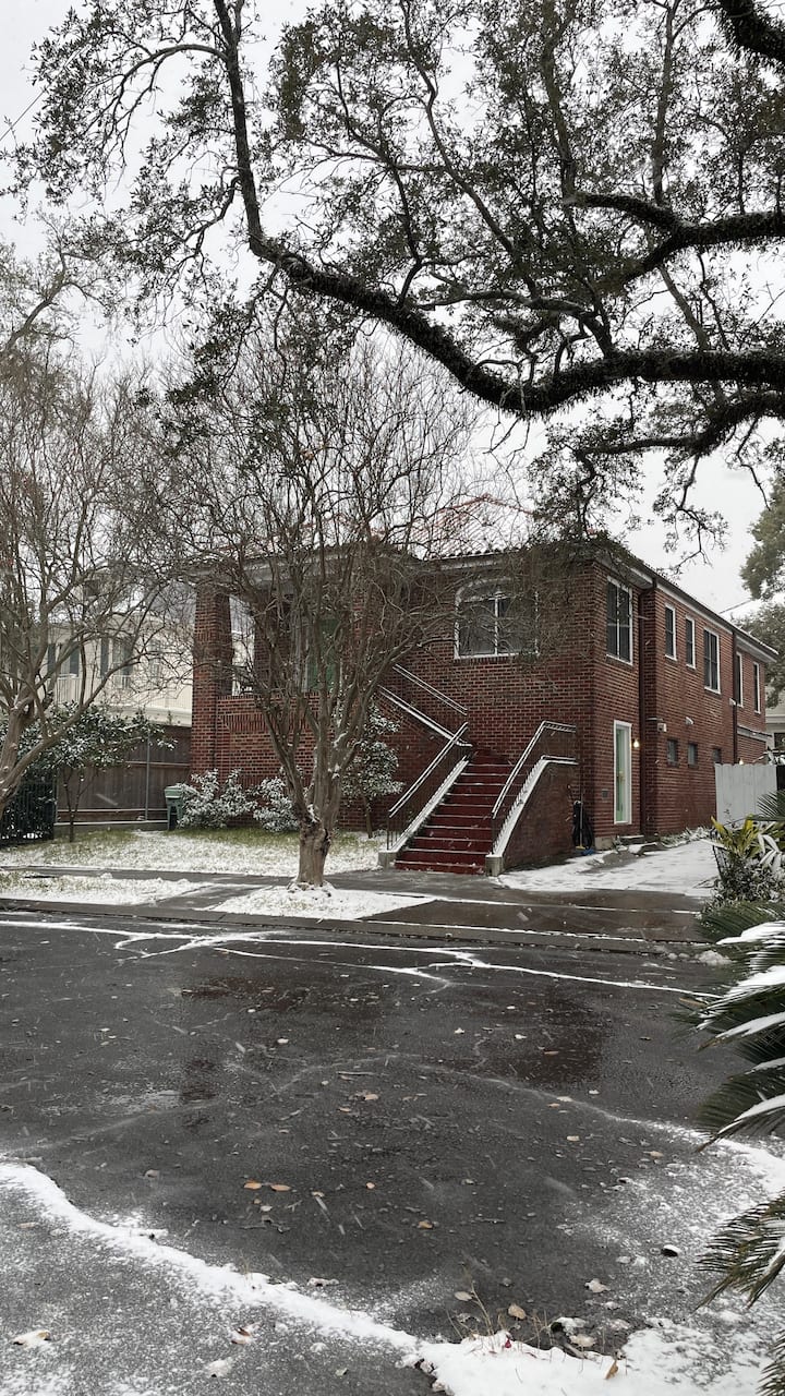 Oak-lines Ursulines Ave raised style funky house - Houses for Rent