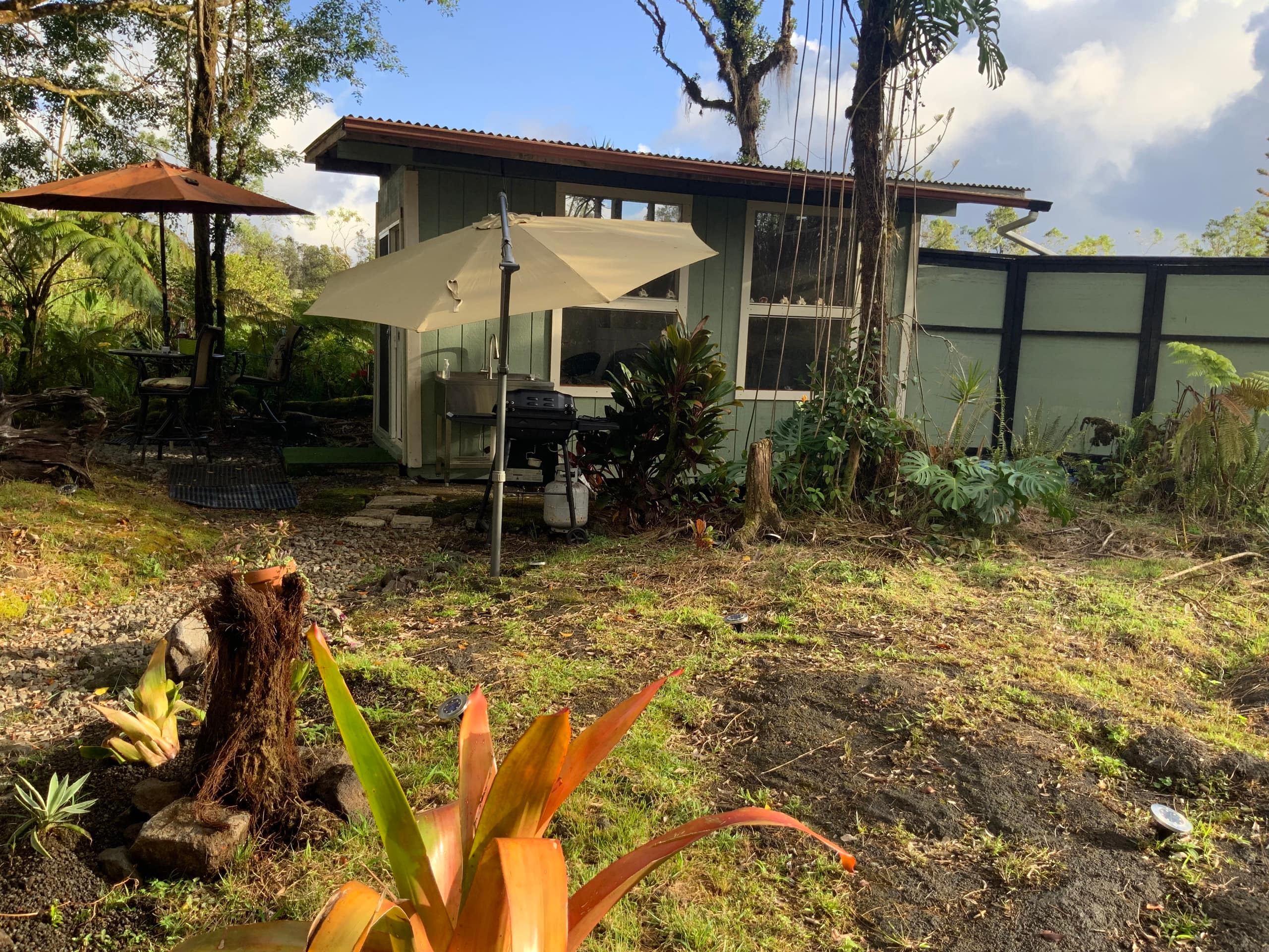 Cabin in Mountain View · ★5.0 · 1 bedroom · 1 bed · 1 private bath - Image 12