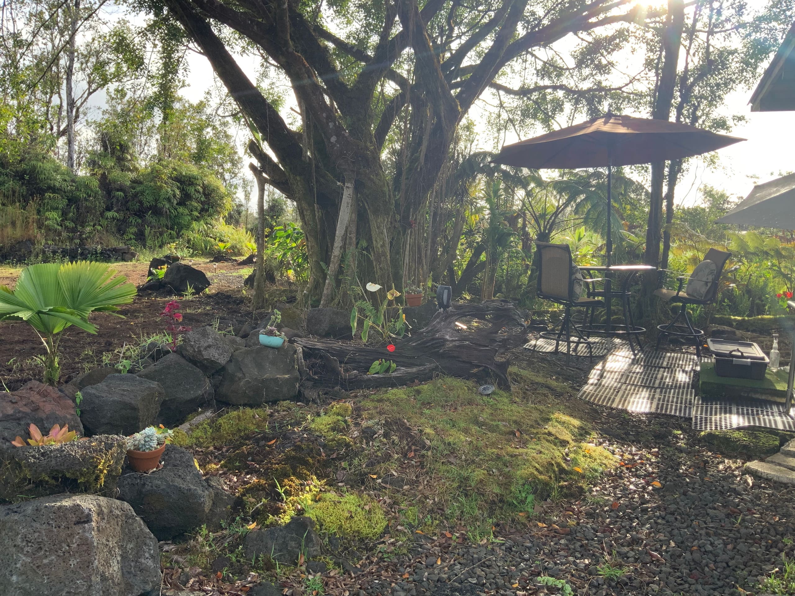 Cabin in Mountain View · ★5.0 · 1 bedroom · 1 bed · 1 private bath - Image 21